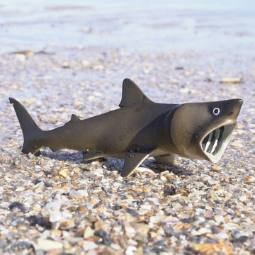 Safari Ltd. Basking Shark Figurine - Detailed 5.75" Plastic Model Figure - Fun Educational Play Toy for Boys, Girls & Kids Ages 3+