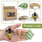 Mbrain Life Cycle Learning & Education Toys,Montessori Toys Figurines for Frog, Butterfly, Ladybug,Plants Kit,Gift for Girl & Boy for 3 4 5 Year Old