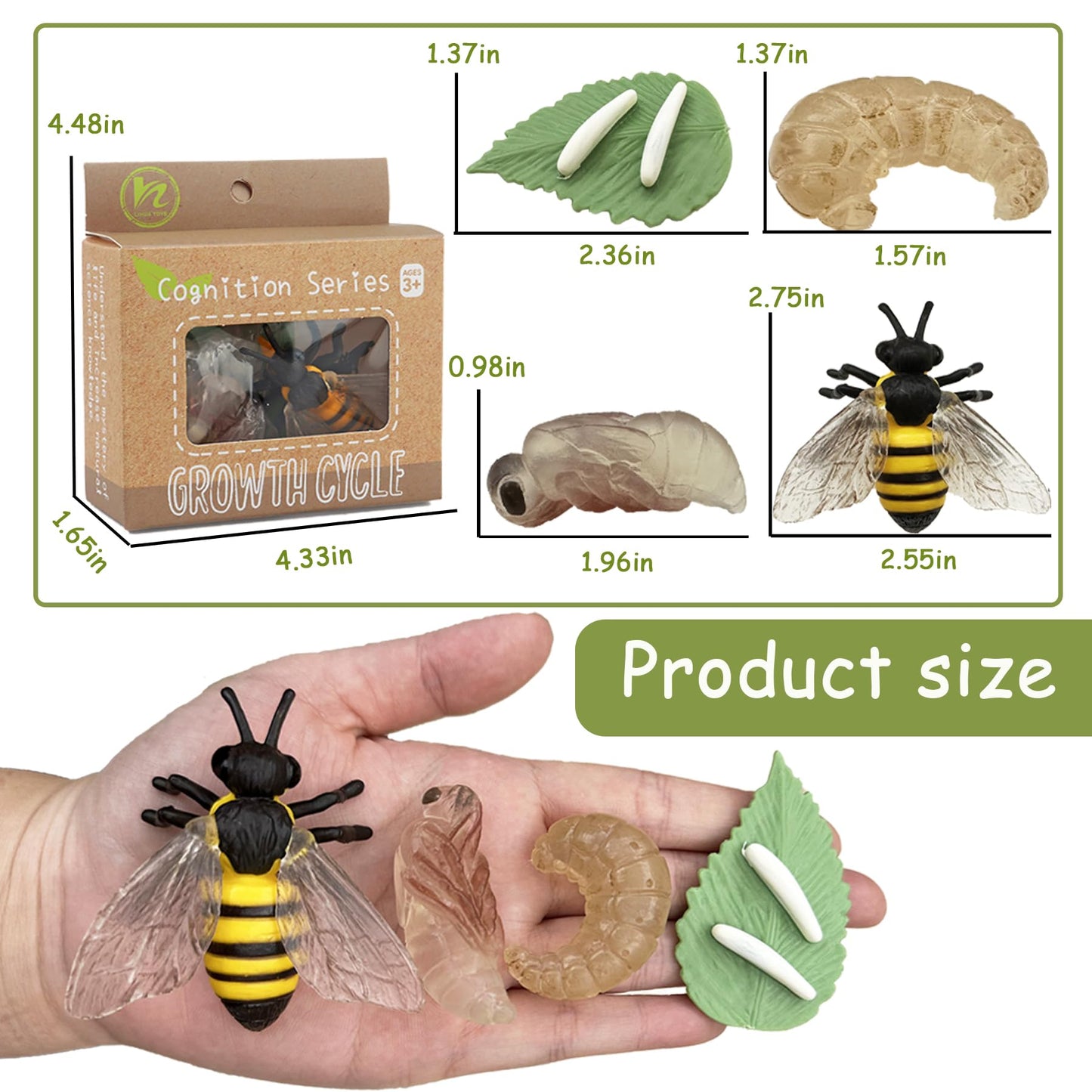 Mbrain Life Cycle Learning & Education Toys,Montessori Toys Figurines for Frog, Butterfly, Ladybug,Plants Kit,Gift for Girl & Boy for 3 4 5 Year Old