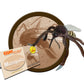 GIANTmicrobes Mosquito Plush - Learn about this Blood Sucking Insect and the Diseases it Carries, Unique Educational Gift for Friends, Students