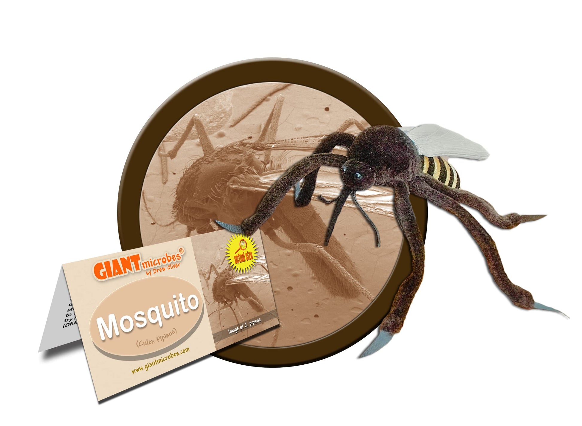 GIANTmicrobes Mosquito Plush - Learn about this Blood Sucking Insect and the Diseases it Carries, Unique Educational Gift for Friends, Students