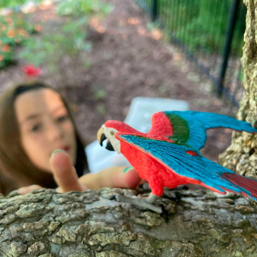 Safari Ltd. Green-Winged Macaw Toy - Realistic 4.5" Inch PVC Parrot Figure - Fun and Educational Toy Bird for Boys, Girls & Kids Ages 3+
