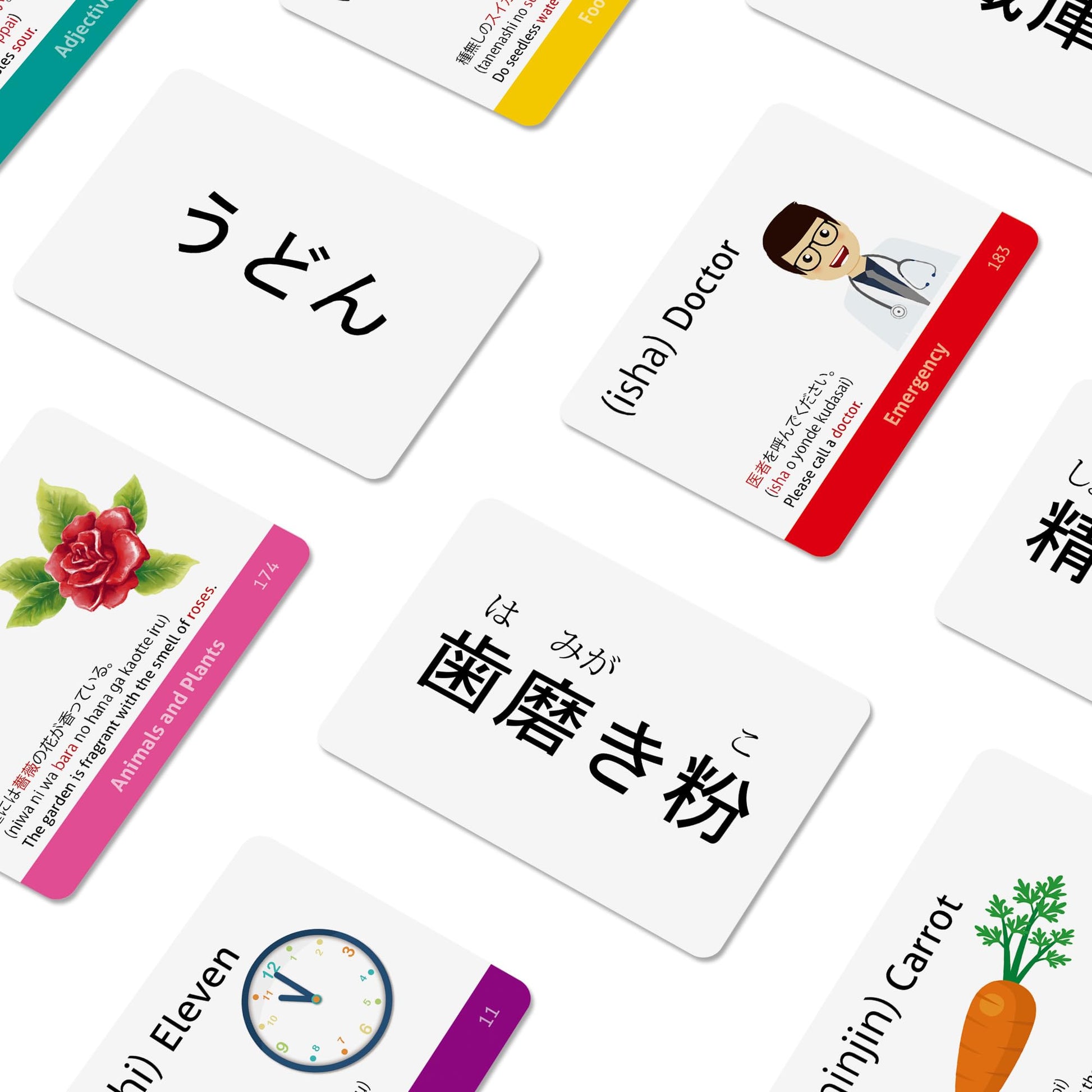 Japanese Vocabulary Flash Cards for Beginners (with Illustrations and Example Sentences), Standard Playing Card Size, Sturdy, Water Resistant