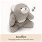 GUND Snuffles 10-Inch Classic Gray Teddy Bear Plush Toy for Ages 0+