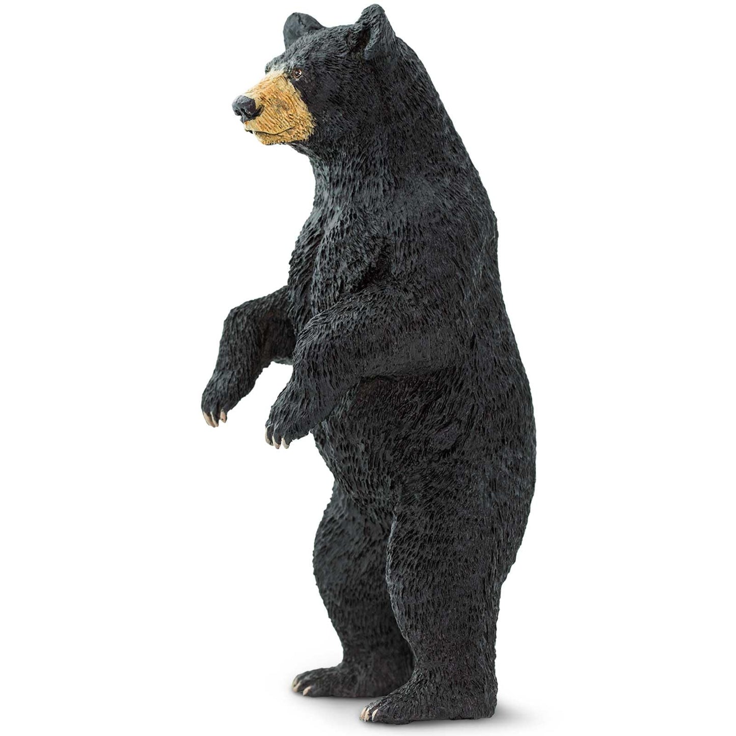Safari Ltd. Standing Black Bear Figurine - Lifelike 4" Model Figure - Educational Toy for Boys, Girls, and Kids Ages 3+