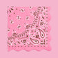 xo, Fetti 24 Cowgirl Paper Napkins | Western Party Rodeo Bandana Decor