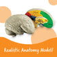 Learning Resources Cross-section Brain Model - 2 Pieces, Ages 7+ Brain Anatomy Model, Brain Functions Model, Human Anatomy for Kids, Foam Brain