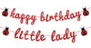 Ladybug Theme Happy Birthday Little Lady Banner - Girl's Baby Shower/Birthday Party Backdrops- Baby's 1st/2nd/3rd Barthday Decorations Supplies