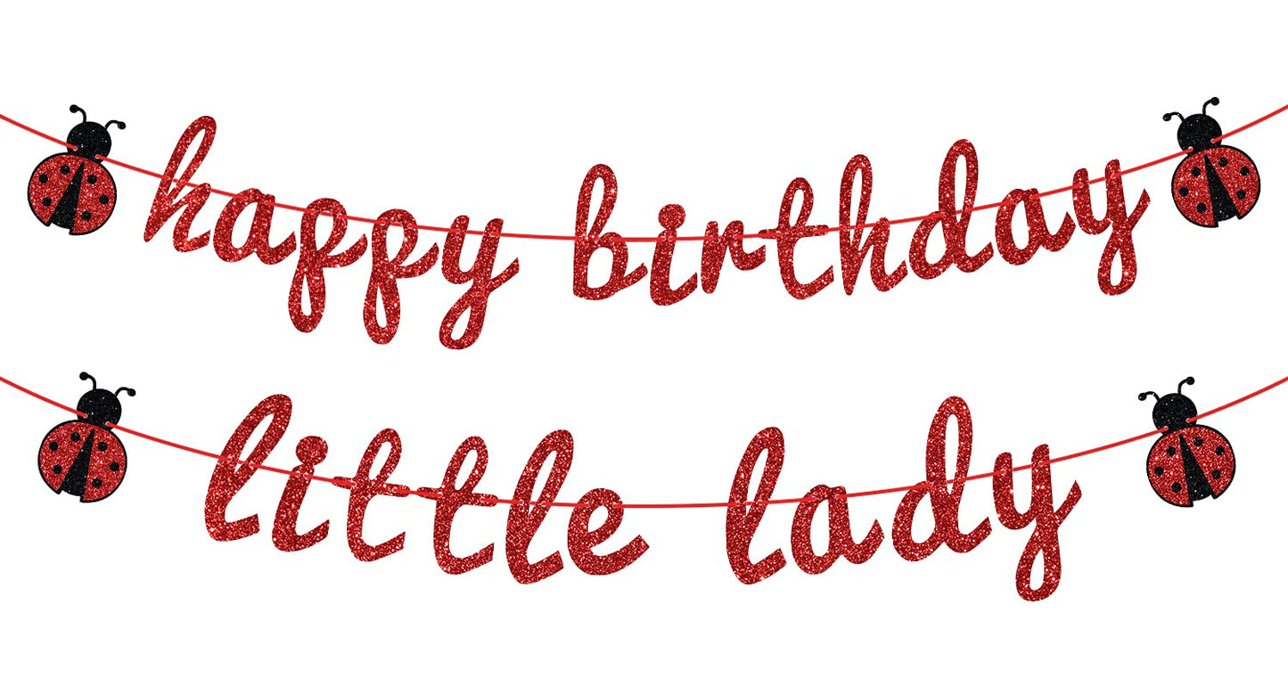 Ladybug Theme Happy Birthday Little Lady Banner - Girl's Baby Shower/Birthday Party Backdrops- Baby's 1st/2nd/3rd Barthday Decorations Supplies