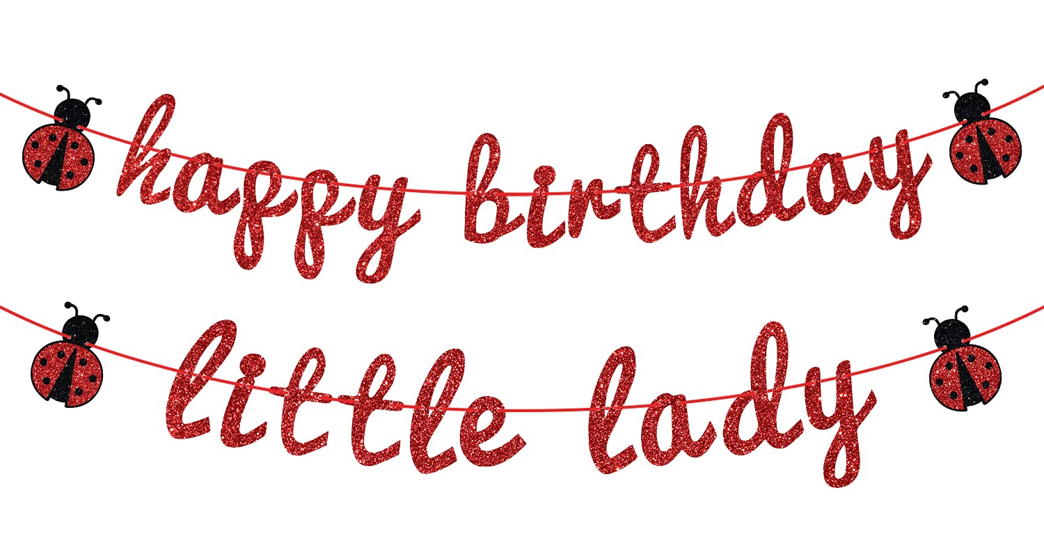 Ladybug Theme Happy Birthday Little Lady Banner - Girl's Baby Shower/Birthday Party Backdrops- Baby's 1st/2nd/3rd Barthday Decorations Supplies
