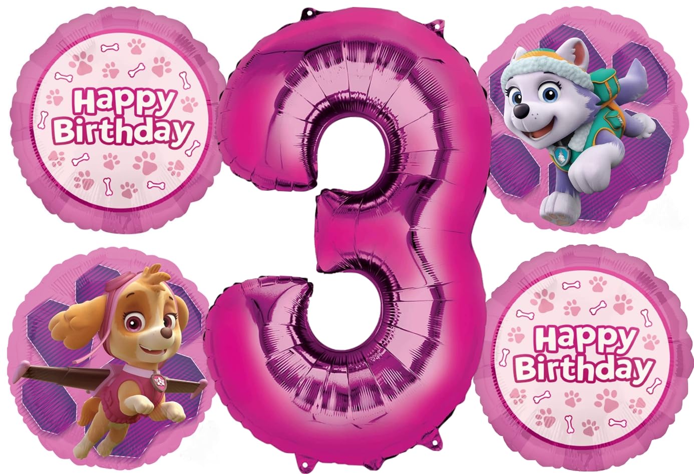 Skye Everest 3rd Birthday Party Supplies Girl Paw Pups on Patrol Balloons