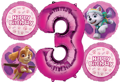Skye Everest 3rd Birthday Party Supplies Girl Paw Pups on Patrol Balloons