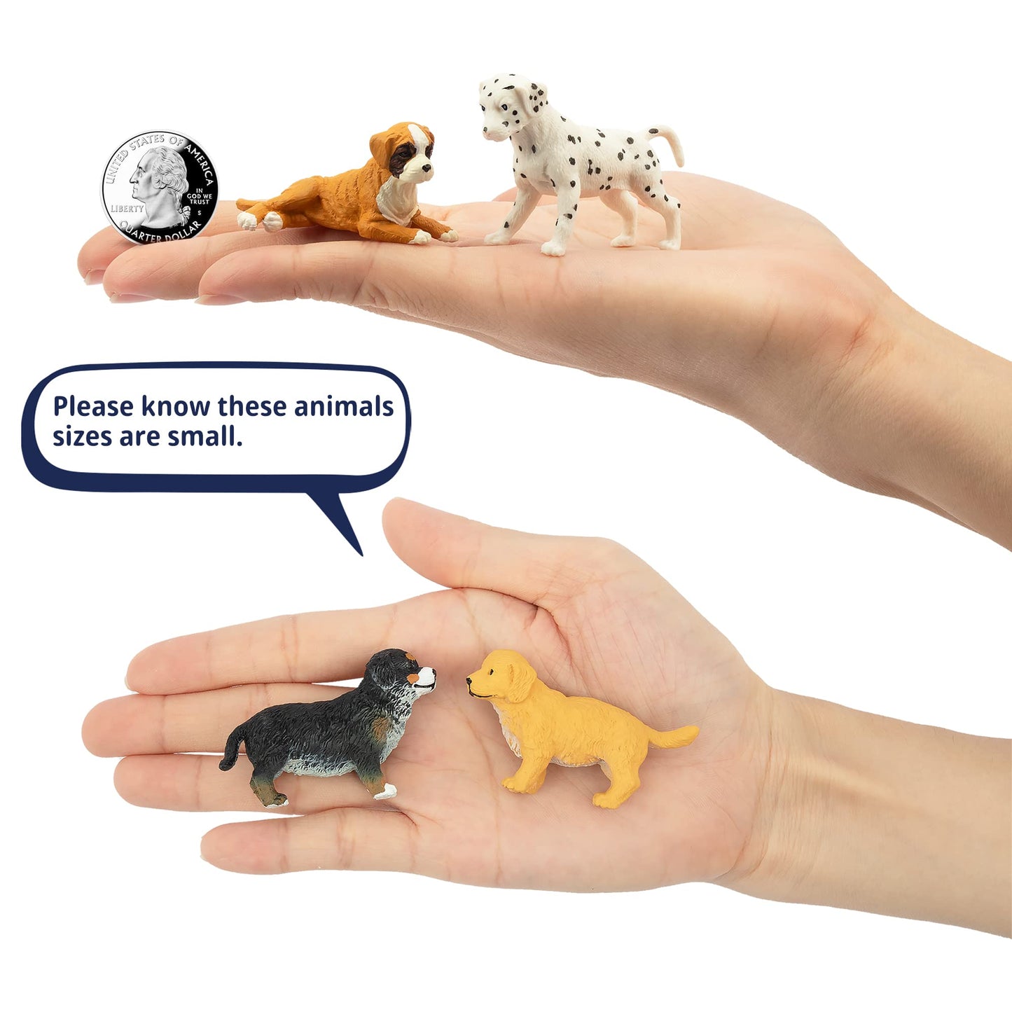 Toymany 12PCS Mini Dog Figurines Playset, Realistic Detailed Plastic Puppy Figures, Hand Painted Emulational Tiny Dogs Animals Toy Set, Cake Toppers