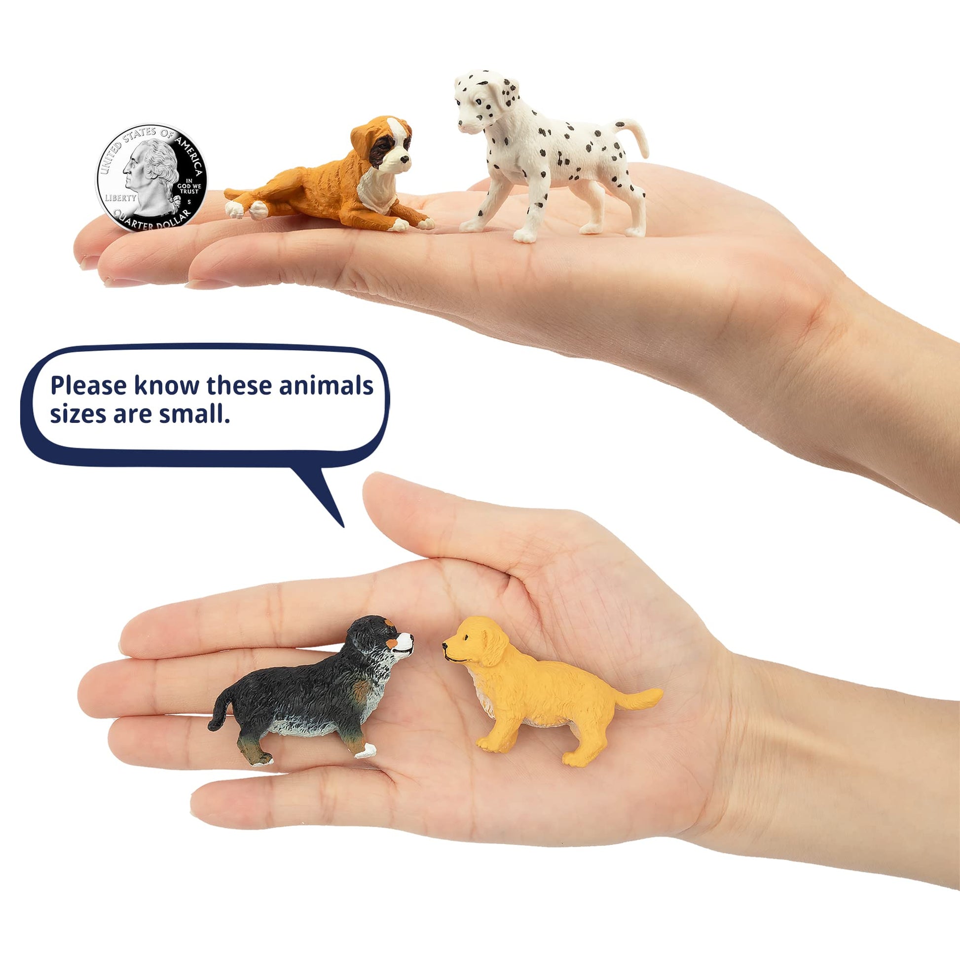 Toymany 12PCS Mini Dog Figurines Playset, Realistic Detailed Plastic Puppy Figures, Hand Painted Emulational Tiny Dogs Animals Toy Set, Cake Toppers
