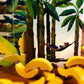 Tasso Banana by 25th Century Games, Strategy Board Game, for 2 to 6 Players and Ages 8+