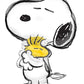 Snoopy Birthday Party Supplies Peanuts 6pc Balloons Decorations
