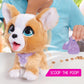 furReal Poop-A-Lots Corgi Interactive 8-inch Walking Plush Stuffed Animal, Pooping Puppy with Leash, 14-pieces, Kids Toys for Ages 4 Up by Just Play