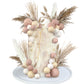 50 PCS Boho Cake Toppers Mini Balls Cake Topper Various Dried Pampas Grass Cake Decor for Boho Home Wedding Cake Decoration (White Apricot Light