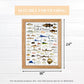 Heritage Puzzle Fishes of The Gulf of Mexico by Diane Peebles 550 Pieces