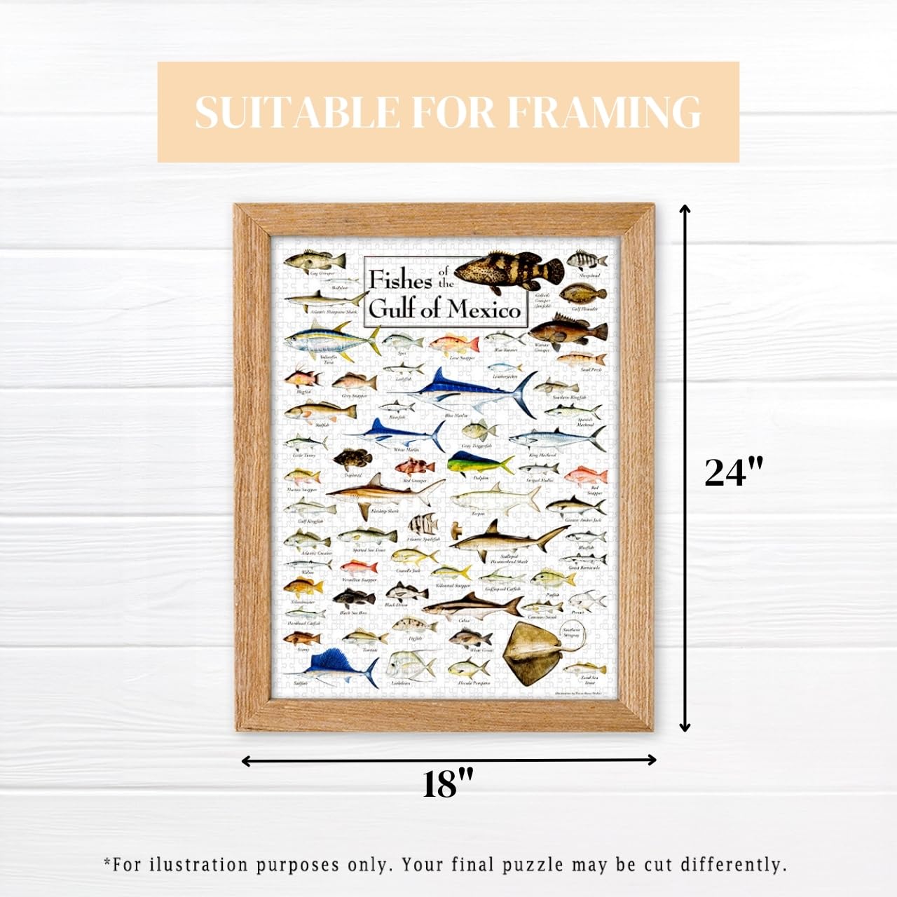 Heritage Puzzle Fishes of The Gulf of Mexico by Diane Peebles 550 Pieces