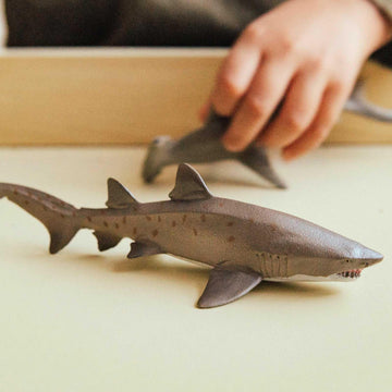 Safari Ltd. Sand Tiger Shark Figurine - Detailed 6.5" Plastic Model Figure - Fun Educational Ocean Play Toy for Boys, Girls & Kids Ages 3+