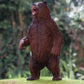 Gemini&Genius Brown Bear Figurine Toy, Wildlife World Action Figure, Great Gift, Collection, Storytelling Prop and Room Decor for Kids 3 Years Old
