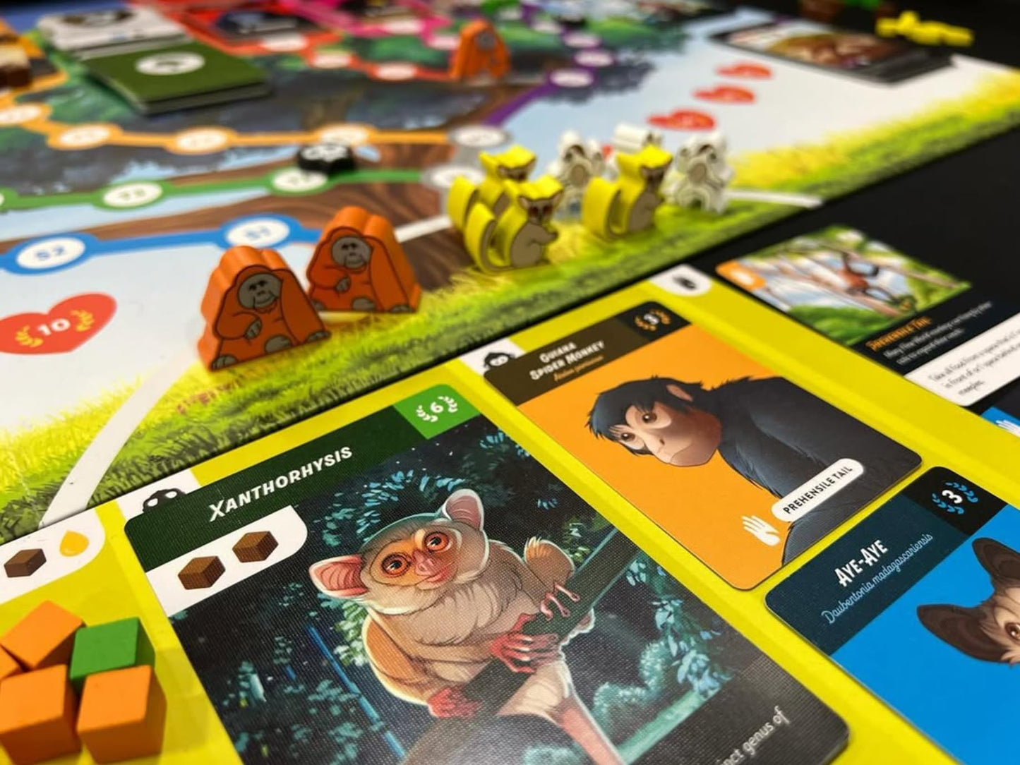 Primates: an Evolutionary Board Game (Deluxe)