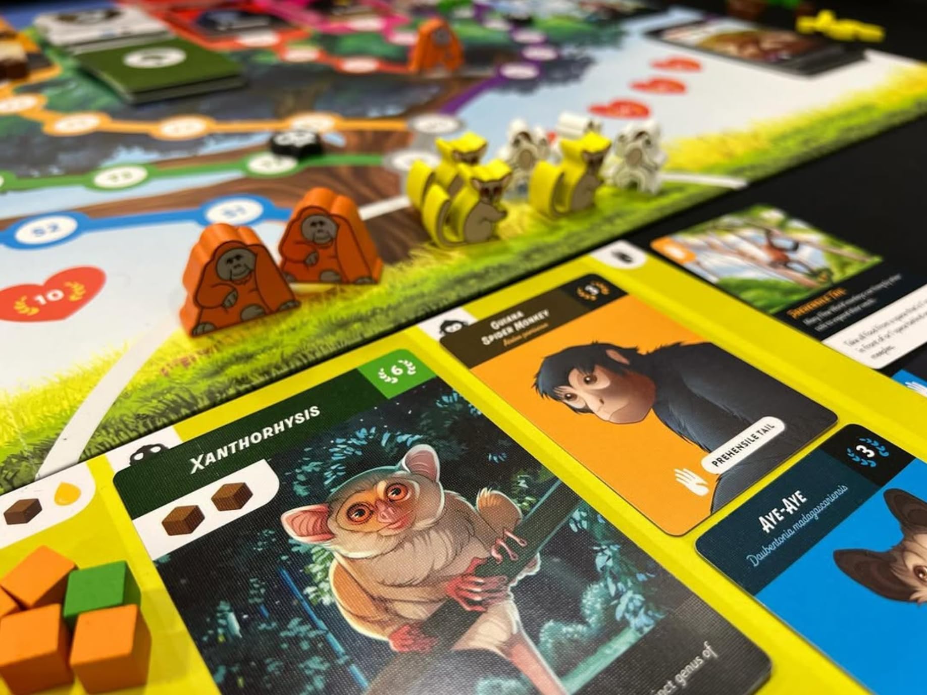 Primates: an Evolutionary Board Game (Deluxe)