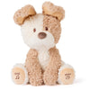 GUND Baby Peeki Puppy 12-Inch Interactive Animated Musical Plush for Babies