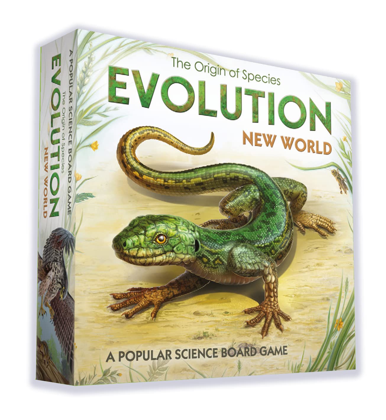 Evolution: New World Board Game | 2-4 Players | Ages 11 and up | Science Game | Animals| Card Games | Nature Board Game | Hand Management | Average