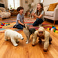Jumbo Safari Animal Toys - Soft Zoo Playset for Kids, Realistic Wild Figurines, Educational Party Birthday for Kids Ages 3-12 (3 pcs Gorilla Wolf