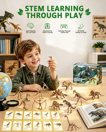 ZHFCGO 6 Inch Dinosaur Fossil Skeleton for 3 4 5 6 7 8 9 10+ Year Old, Dino Bones for Science Play Rewards, Dino Sand Dig Toys, Educational Gift