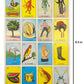 Loteria Mexicana Tradicional Mini Don Clemente 20 Jugadores 160 Fichas - Mexican Bingo Medium Board Game Set 160 Counting Plastic Chips for 20 Players