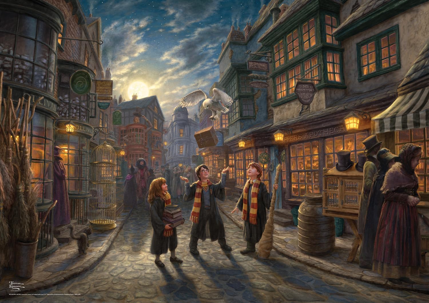 Buffalo Games - Silver Select - Harry Potter - Diagon Alley - 500 Piece Jigsaw Puzzle for Adults -Challenging Puzzle Perfect for Game Nights