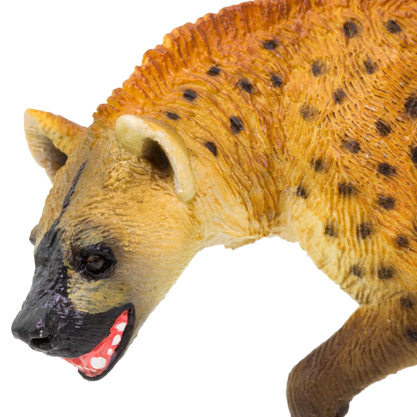 Safari Ltd. Hyena Figurine - Lifelike, Hand-Painted 4.25" Model Figure - Educational Toy for Boys, Girls & Kids Ages 3+