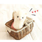 YUKOUQIAN Llama Stuffed Animal Cute Llama Plush Alpaca Toy 9.8 inch for Girls Boys 2 Pieces(Alpaca)