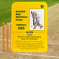Cricket Rummy| Cricket Card Game | 2-4 Players | 3 in One Multi Game Pack | Fast paced | Extremely Easy to Learn | Combine Fun of Cricket and Skill
