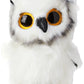TY - Beanie Boo Owl Austin - 15 CM