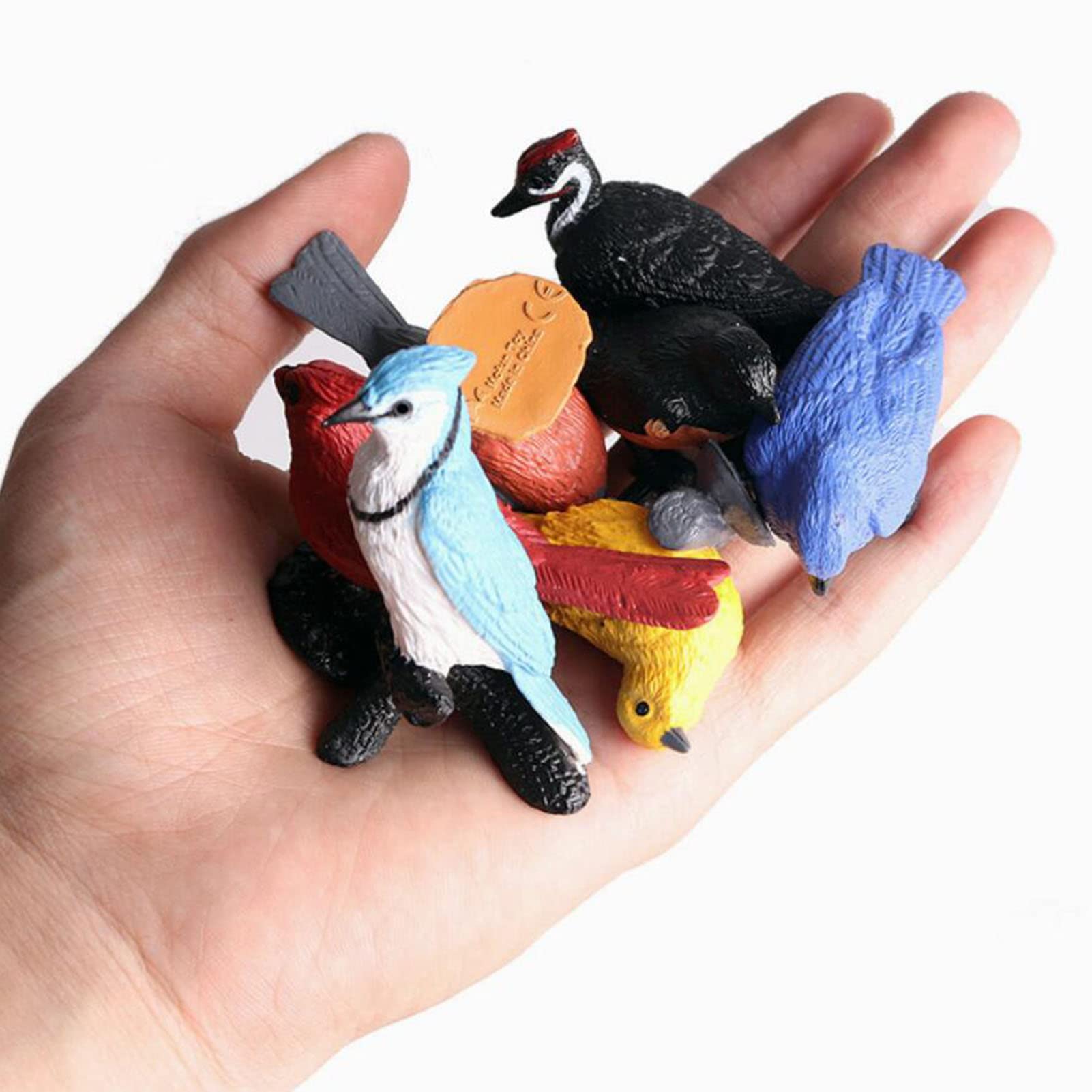 10 Pcs Realistic Bird Animals Figurines Model, Miniature Birds Figure Cake Cupcake Topper, Parakeet, Quetzal, Macaw, Hummingbird, Toucan, Cockatoo