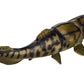 Safari Ltd. Dunkleosteus Figurine - Detailed 7.25" Plastic Model Figure - Fun Educational Play Toy for Boys, Girls & Kids Ages 3+