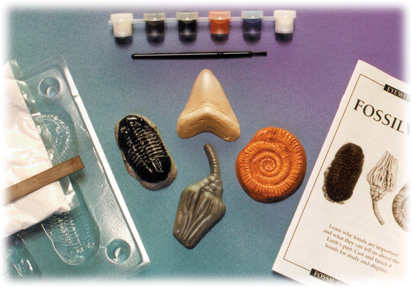 Kit, Fossilworks, Eyewitness