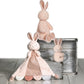 Mary Meyer Stuffed Animal Huggable Plush Soft Toy, 12-Inches, Pink Sweet Dreams Bunny
