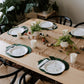 Modern Dinosaur Party Plates Kids Birthday, Baby Shower - Disposable Dino Paper Decorations, Cups, Napkins, Utensils, Toddler Boy/Girl Neutral Decor
