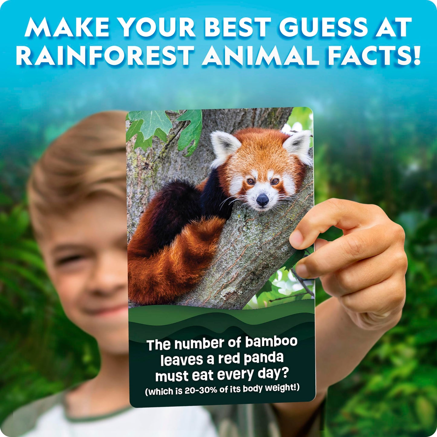 National Geographic Anyone's Guess Rainforest Animals Trivia Cards - Kids Trivia Card Game with 55 Jumbo Cards, Animal Games, Trivia Game