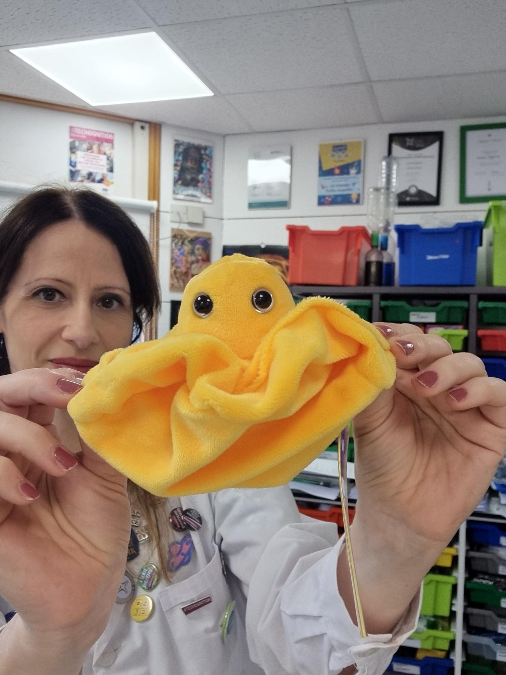 GIANT MICROBES Plasma Plush, Blood Cell Plush, Blood Bank, Gifts for Lab Techs, Hematology, Phlebotomy Gifts, Phlebotomist Gift, Circulatory System