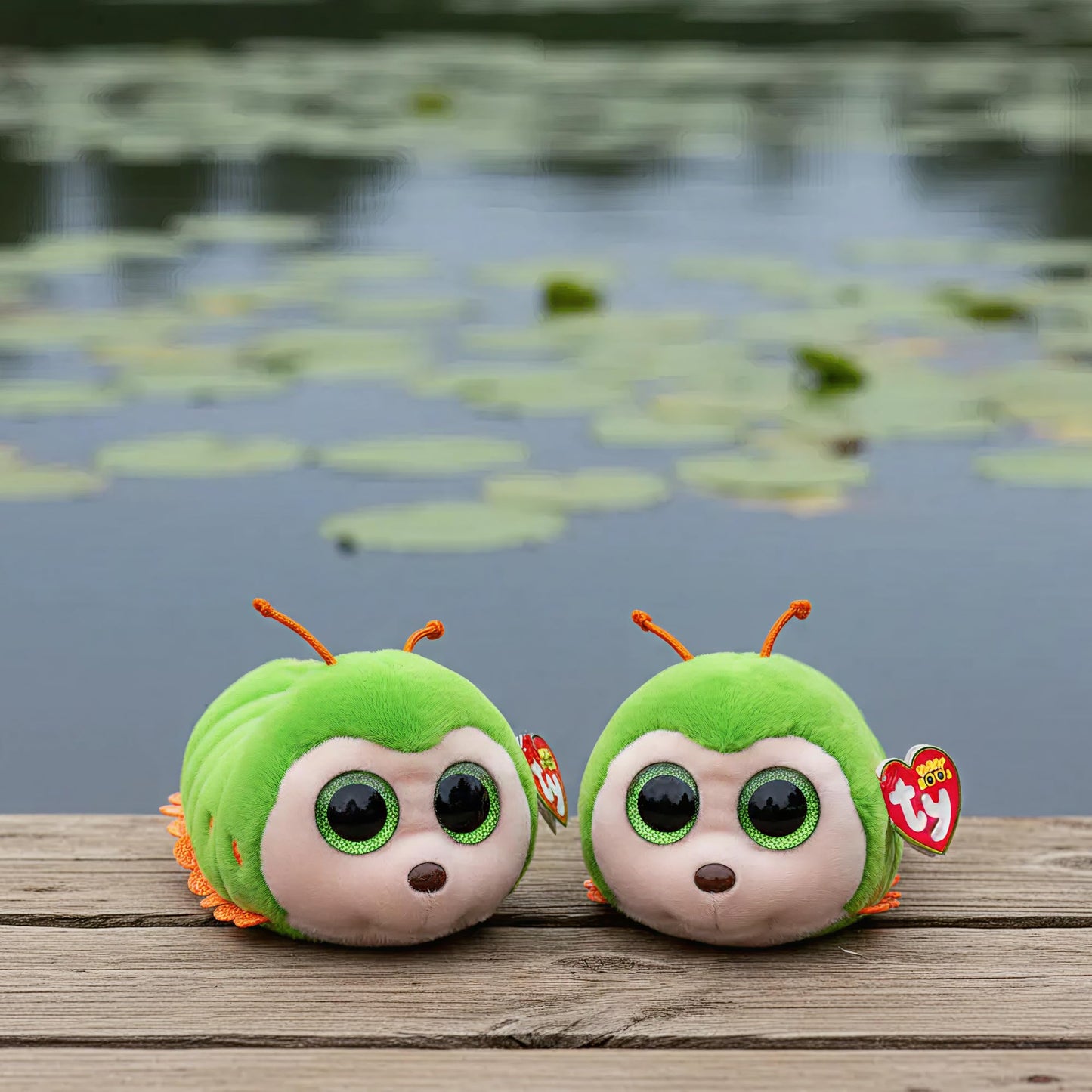 Pilar - Beanie Boos