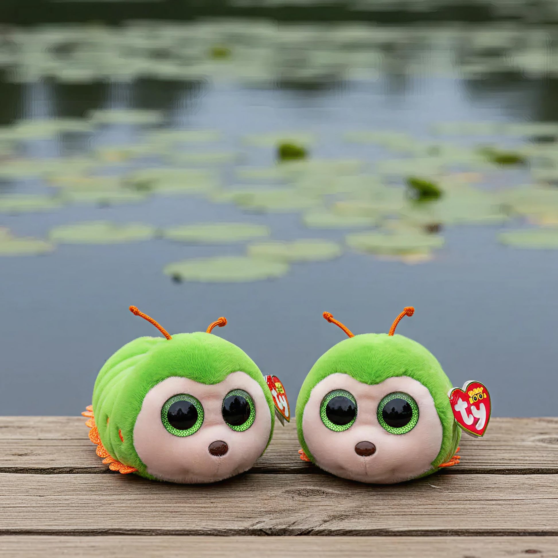 Pilar - Beanie Boos