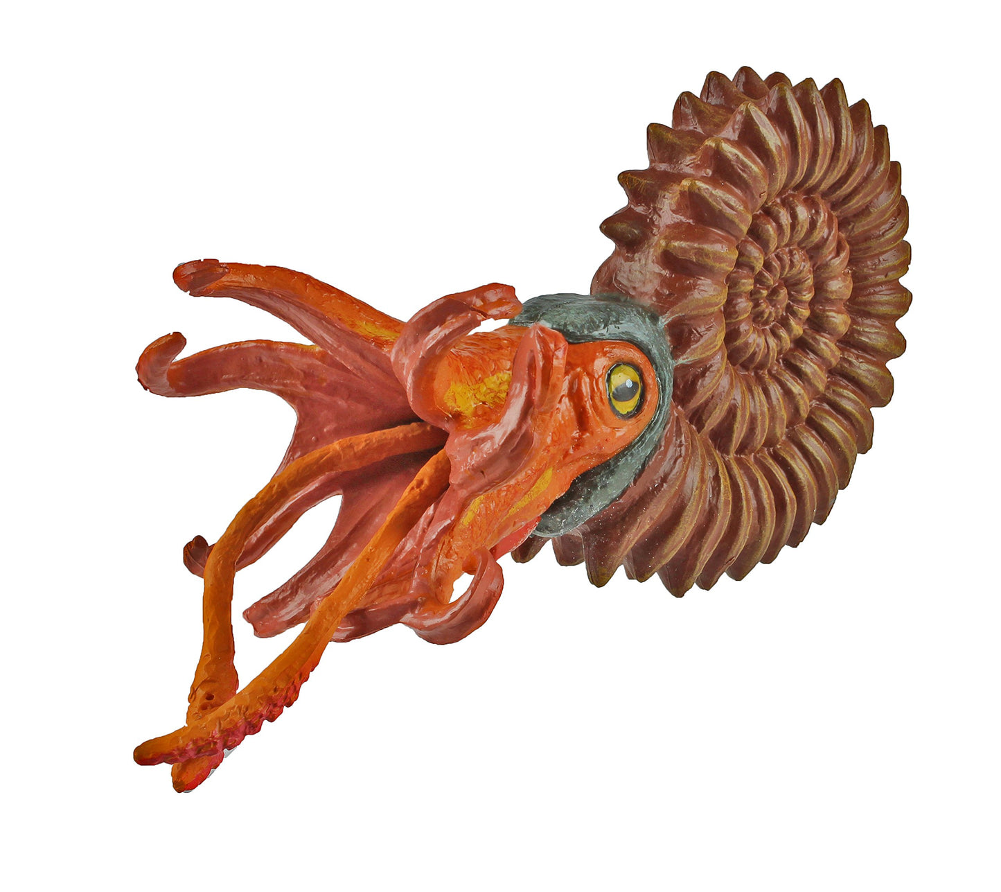 Safari Ltd. Ammonite Figurine - Detailed 5.25" Marine Mollusc Figure - Educational Toy for Boys, Girls, and Kids Ages 3+