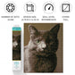 DIAMOND DOTZ Smokey Cat Diamond Painting Kits for Adults - Diamond Art Kits a Relaxing Creative Craft Kit with Dotz Gems 14.8"x11.8"