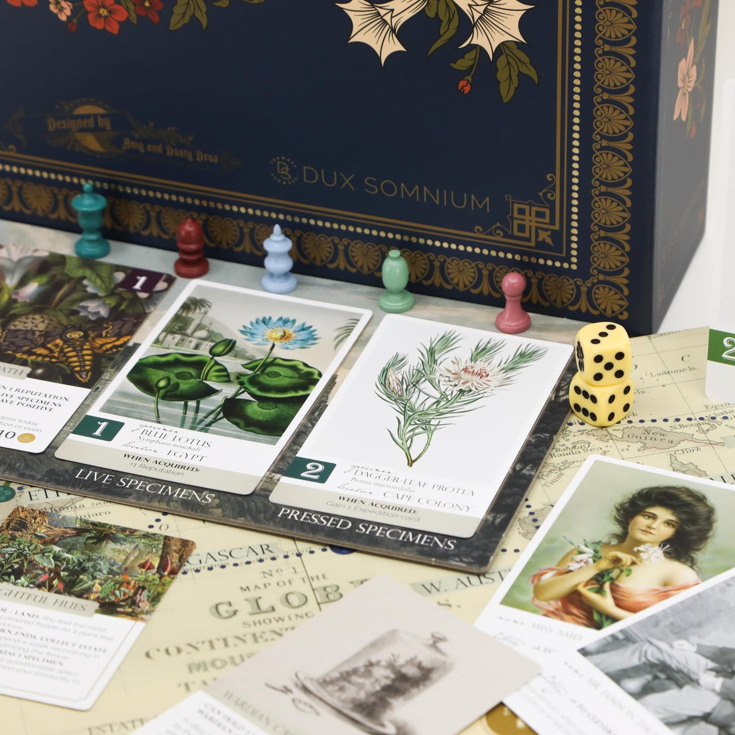 Botany Board Game | Family Board Game | Victorian Flower Hunting for Plant Lovers | Ages 8 and Up | for 1-5 Players | Easy to Learn - by Dux Somnium